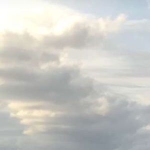 Meet your Posher, Priscilla